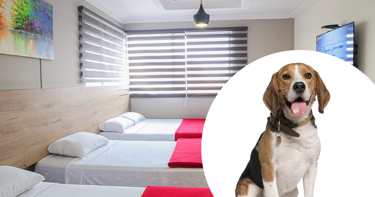Hoteles pet friendly Guayaquil